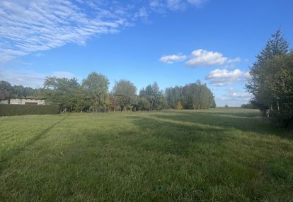 Działka w będzelinie (gm. koluszki)