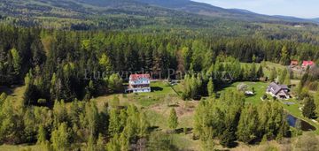 Nietuzinkowa nieruchomość pod lasem