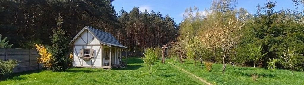Działka budowlana ze ścianą lasu