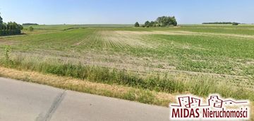 1937 m2 na obrzeżach brześcia kuj.