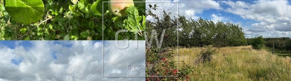 Na sprzedaż działka budowlano-rolna z wydanymi wz