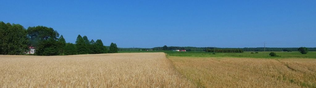 Spokojna okolica. ładnie położona.