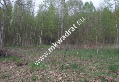 Działka budowlana 27 000 m² bukówka