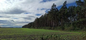 Las mieszany 3,8320 ha zduny (7 km od krotoszyna)