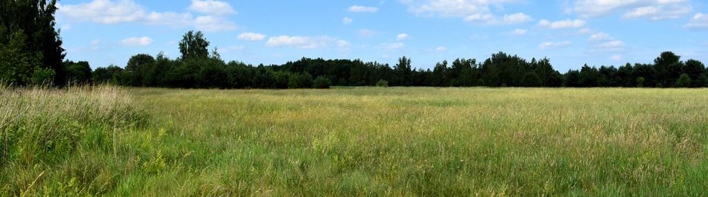 Działka rekreacyjna wojcieszyn stare babice