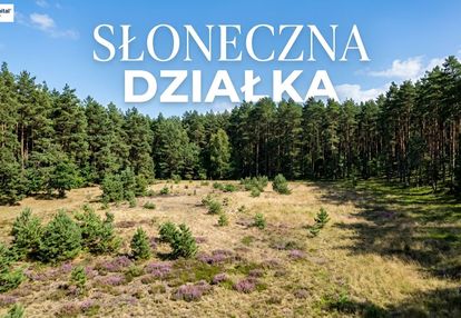Olbrzymia działka w lesie z prawem zabudowy!