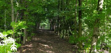 Działka 0,45ha pod twój wymarzony dom, żyrzyn