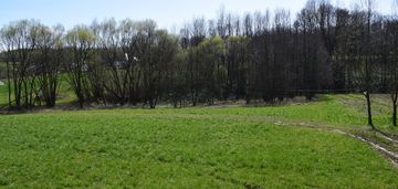 Działka rekreacyjna 40a- manasterz