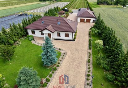 Dom z plantacją borówki – kolonia domaszewnica
