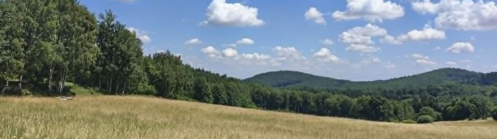 Niepowtarzalne widoki