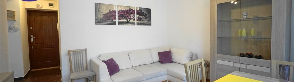 3 pokoje do wynajęcia od 01.06.2026