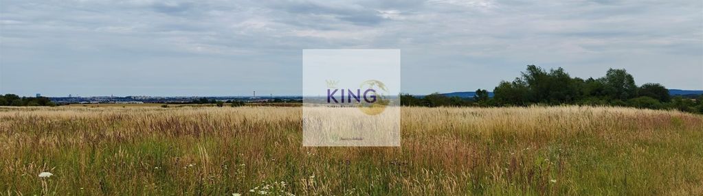 Kompleks działek pod inwestycję. karwowo