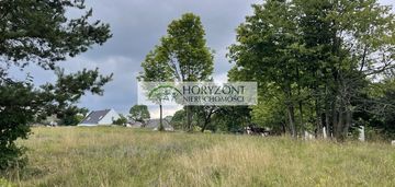 Nowa wieś przywidzka- dz. z panoramicznym widokiem