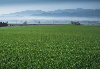 Działka na sprzedaż 504m2