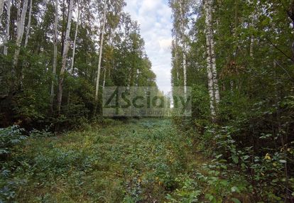 Działka budowlana (mn) 4511 m² | wycinki osowskie