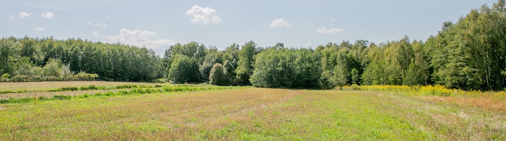 Działka zagrodowa poręba radlna-gm. tarnów!