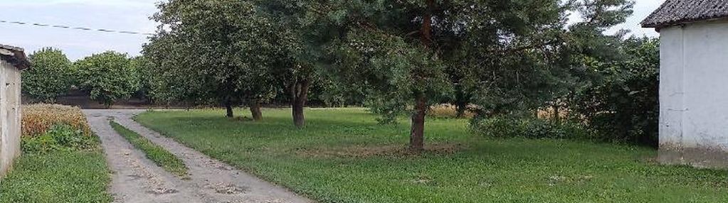 Siedlisko w ziółkowie