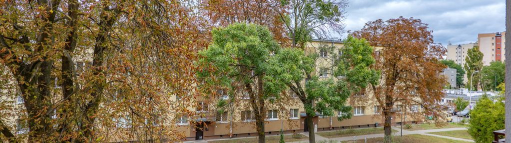 Blisko metra | cicha i zielona okolica | piwnica