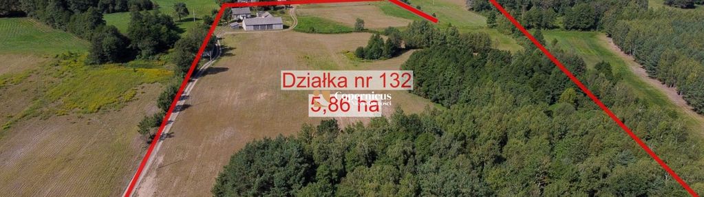 Grunt-6 ha z domem i budynkami,gm.skępe,potencjał