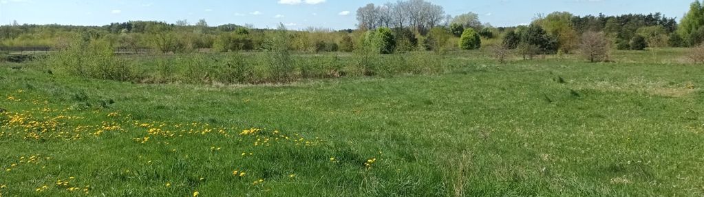 Działka nad rzeką wkrą - sochocin