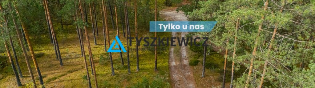 Las w spokojnej okolicy/krzyż