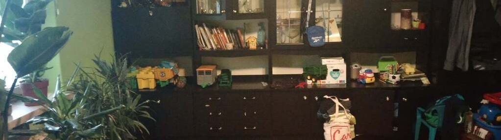 Dom na sprzedaż ul zielona stężyca