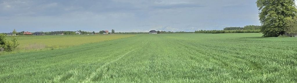 Atrakcyjna działka budowlana żabokliki - kolonia