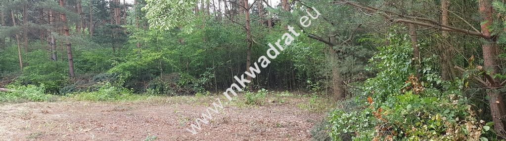 Okolice grodziska maz 1600m2 od mkwadrat.eu