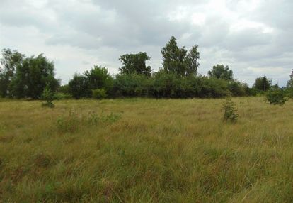 Działka w pędzewie!!! z wz.