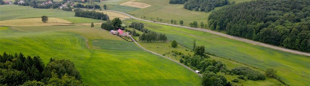Malownicza działka pośród pól i lasu