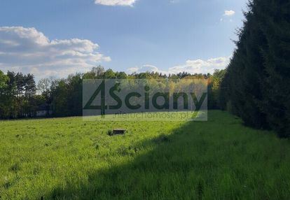 Ciche miejsce na dom w ruścu