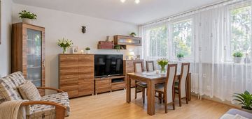 Centrum|rozkład|gotowe|dwie piwnice