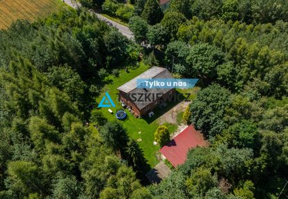 Siedlisko z potencjałem w wysinie