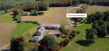 Grunt-6 ha z domem i budynkami,gm.skępe,potencjał