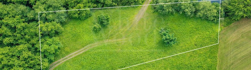 Dom i działka z linią brzegową rzeki - 1 h od gd