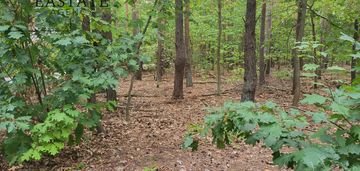 Prestiżowa lokalizacja | świetny dojazd