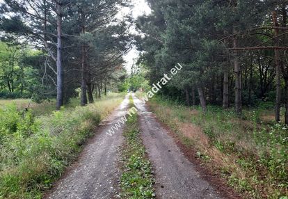 Działka budowlana na terenie leśnym mpzp