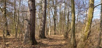 Działka budowlana + służebność w dz. rekreacyjnej