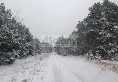Cicha, piękna działka w falenicy