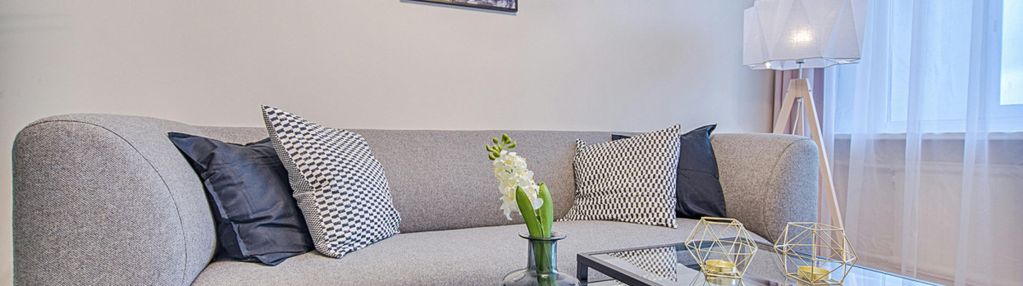 Dobra inwestycja/wiele możliwości/niska cena