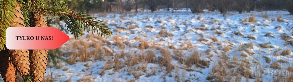 Działaka z wz, budowa osiedla