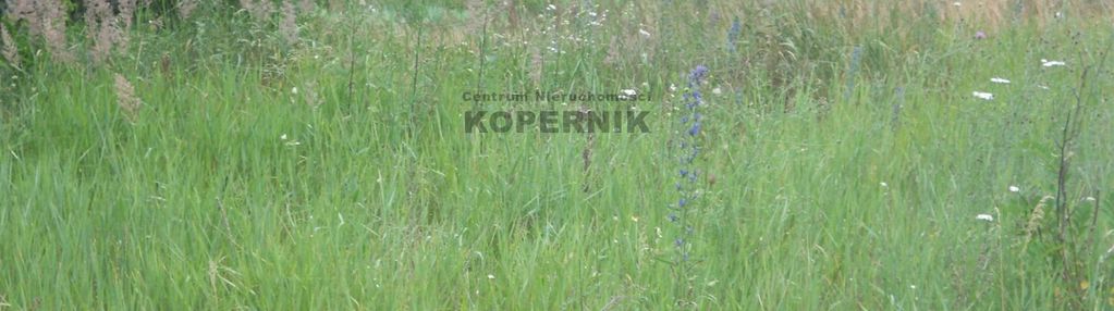 Głogowo!!! działka budowlana