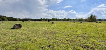 Działka budowlana wśród zieleni – stary adamów