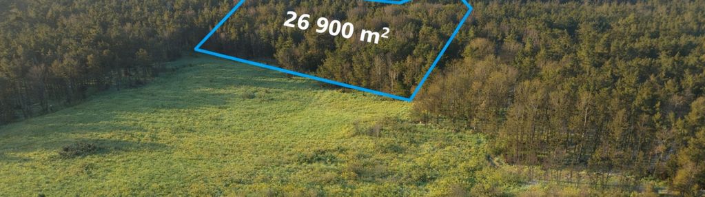 Działka rolna z lasem 2,69 ha | bieszkowice