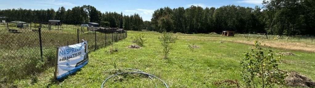 Środek lasu, działka 5 arów,ostoja baryczy, natura
