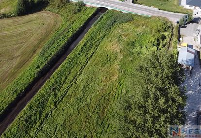 Grunt rolny 7239 m², łosice, ul. myśliwska