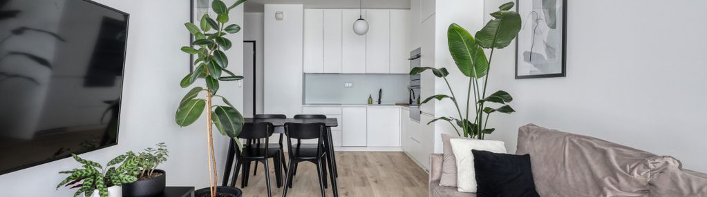 51,80 mkw | 3p | rozkładowe | loggia 10,42mkw