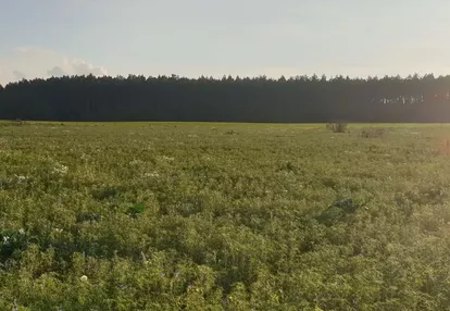 Działka na sprzedaż 1000m2