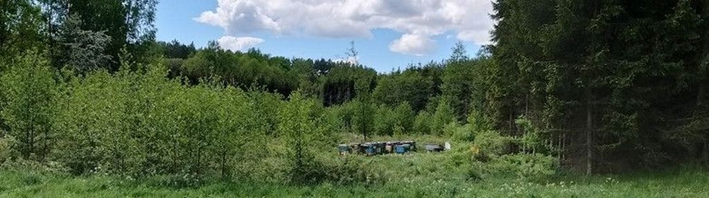 Działka rolna w nowosadach koło lidzbarka