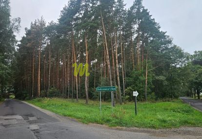 Cicha działka 2,16 ha, media w drodze, las